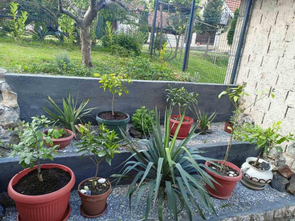 Apartman Excluziv Πριέντορ Εξωτερικό φωτογραφία